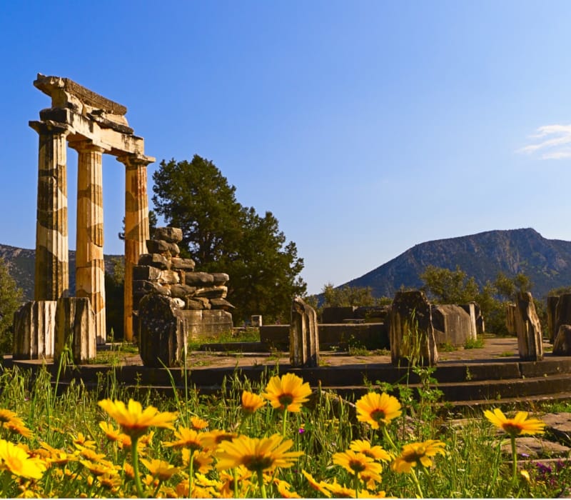 shutterstock_118689760