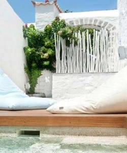 46446_cotommatae-hydra-1810_