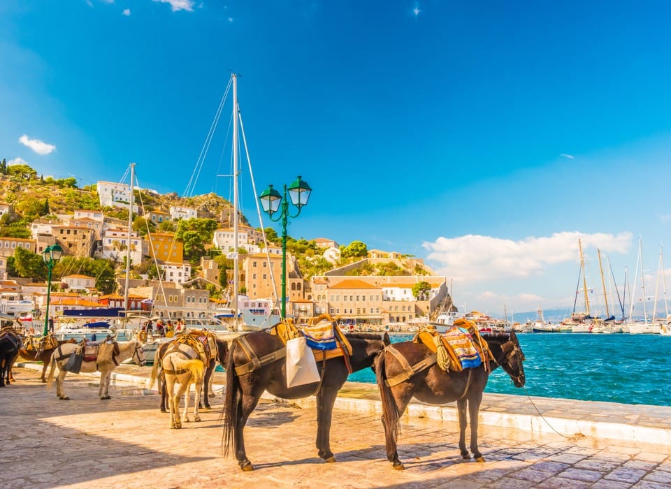 shutterstock_1345558742-1