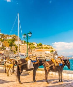 shutterstock_1345558742