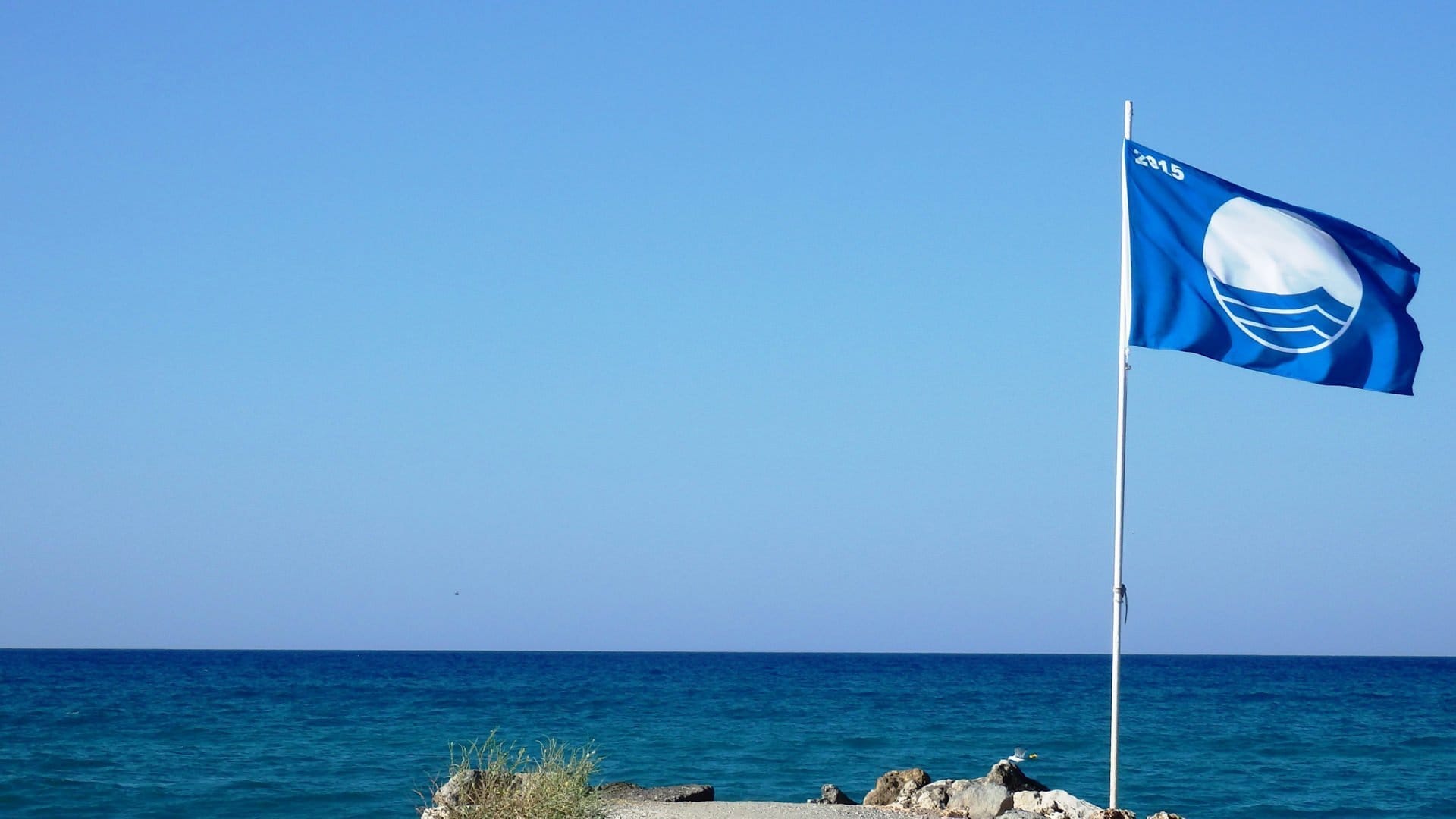 a flag on a pole