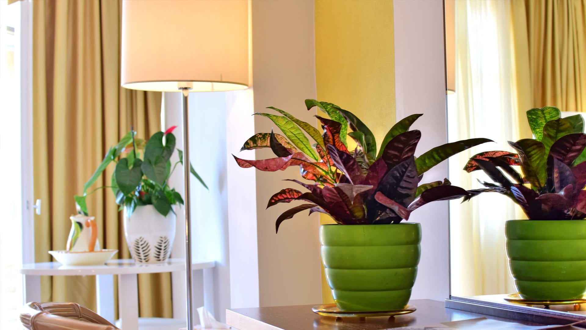 a couple of potted plants on a table