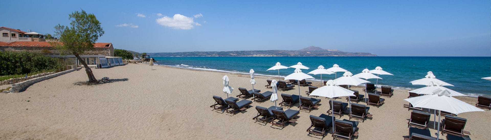 a beach with many umbrellas