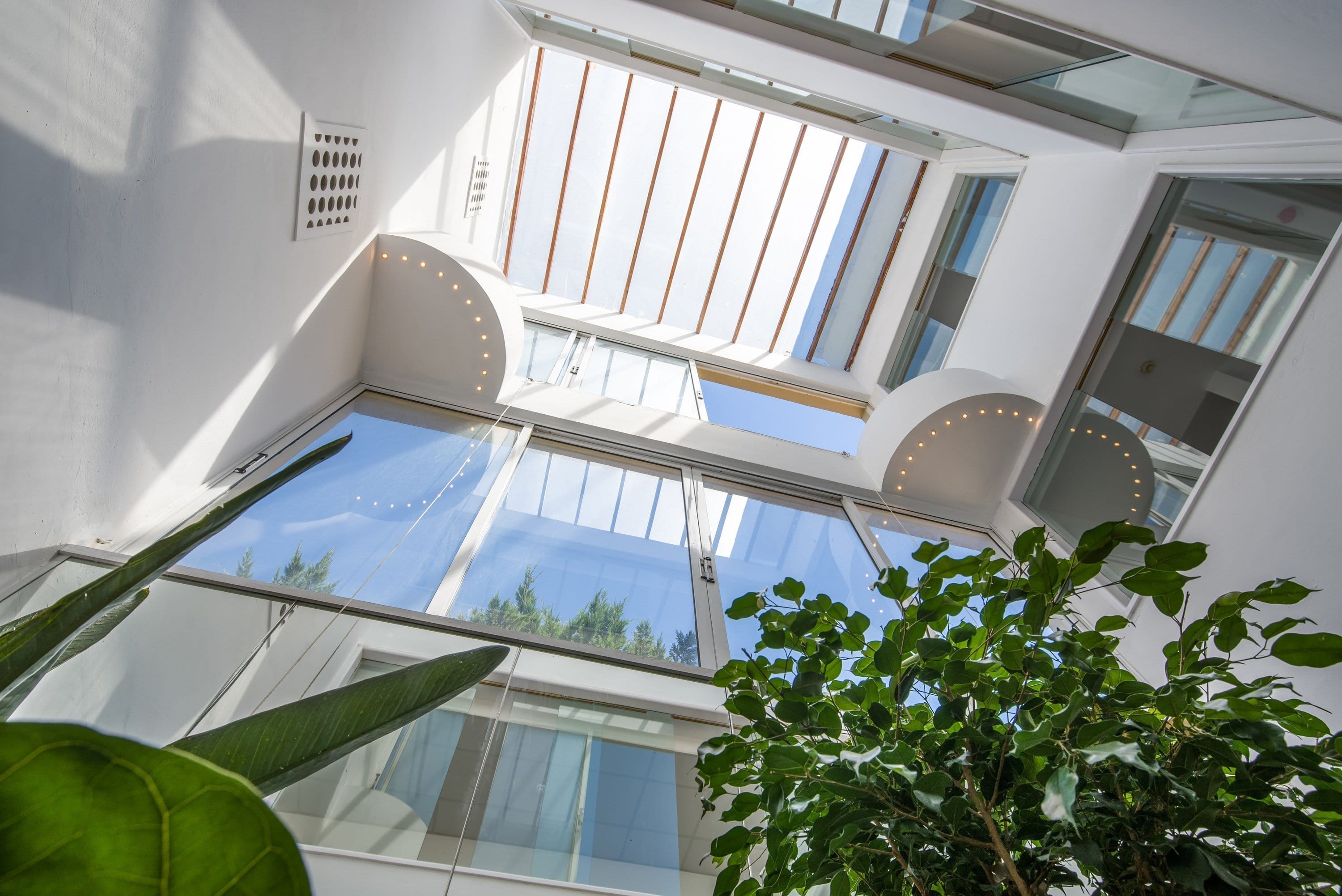 a building with windows and plants